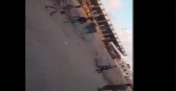 بالفيديو.. لحظة إطلاق النار على عجل هارب قبل ذبحه