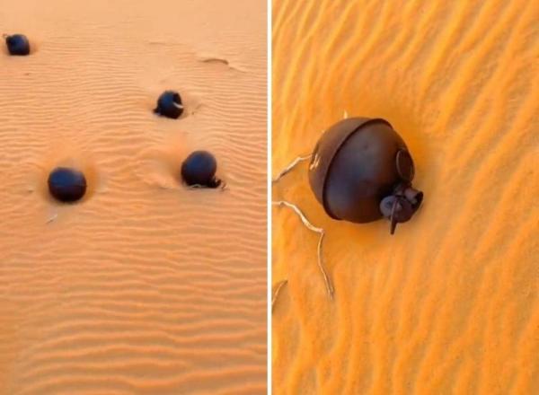 ظهور كرات حديدية غريبة في صحراء الربع الخالي يثير حيرة السعوديين