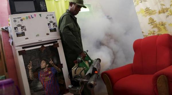 خبراء يطالبون باستخدام البعوض المعدل وراثياً لمواجهة زيكا