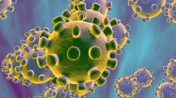 اكتشاف فيروس غامض لا يملك جينات معروفة يحير العلماء