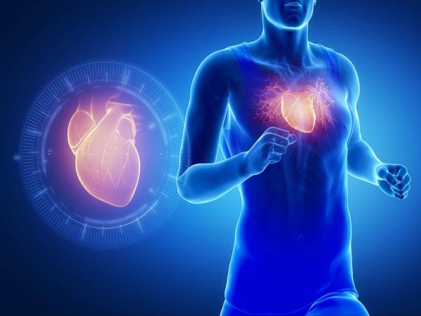 تعرف  على أفضل تمرين للقلب