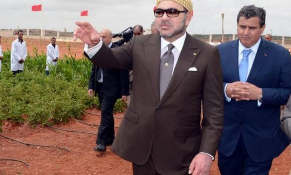 بتوجيهات ملكية...تفاصيل مخطط التنمية الفلاحية الجديد الذي يعول عليه المغرب لتشغيل 350 ألف شاب