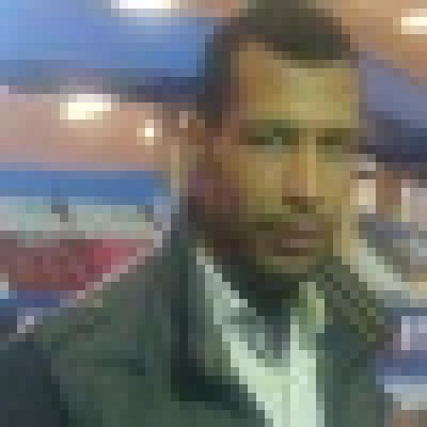 هم الكلاب وشتائم أخرى..