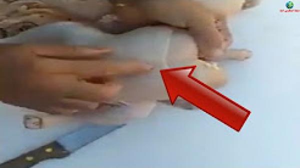 المغاربة ردو البال : قسمو الدجاج قبل متطيبوه