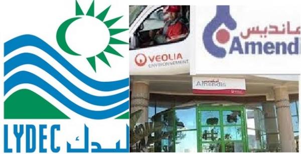 الفاسي الفهري يتهم شركات التدبير المفوض بالسعي وراء الربح