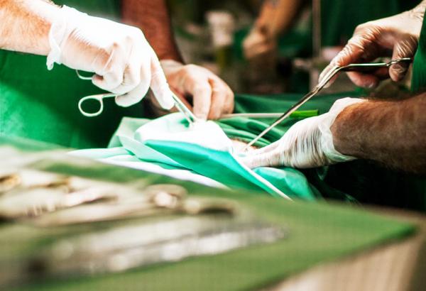 انطلاق حملة التصريح للمتبرعين بالأعضاء و 300 متبرع فقط بالرباط