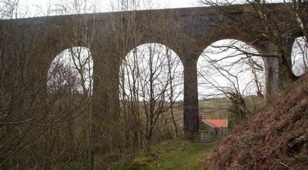 يقدم على الانتحار بسبب أغنية تتردد في رأسه