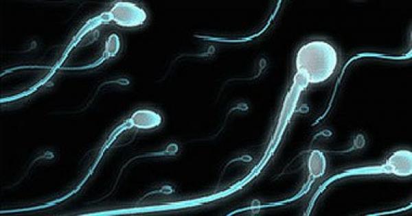 دراسة تبعث الأمل فى احتمال حماية خصوبة السيدات المصابات بالسرطان