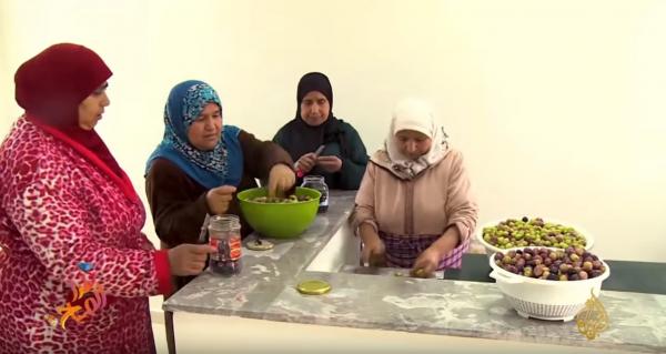 الطقوس الخاصة لموسم جني الزيتون بالمغرب على قناة الجزيرة