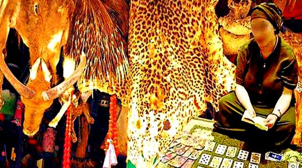 شداتهم "الكاميرا": فنانات شهيرات يترددن على منزل "شوافة" معروفة بالصخيرات