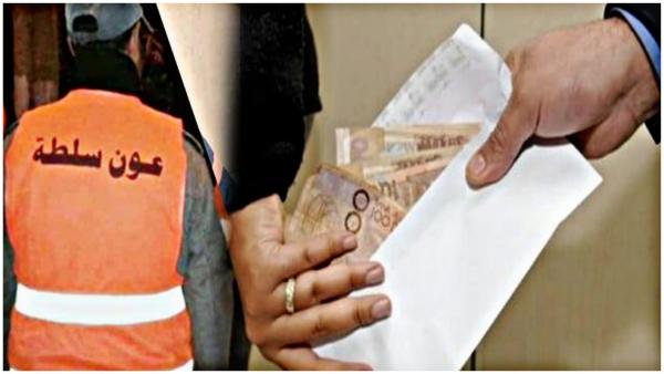 فضيحة نصب واحتيال تتسبب في إيداع أعوان سلطة وسيدة السجن المحلي لسطات وهذه تفاصيل القضية