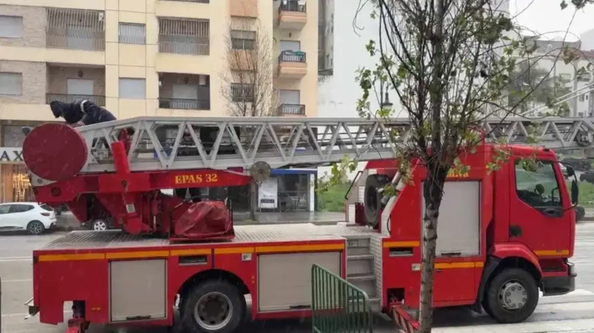 عملية إنقاذ مثيرة لقطة عالقة من طرف رجال الوقاية المدنية في طنجة