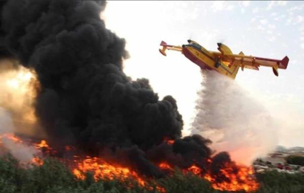 التهم 40 هكتارا.. الجهود متواصل للسيطرة على حريق "كاب سبارطيل" بطنجة والاستعانة بأربع طائرات "الكنادير"