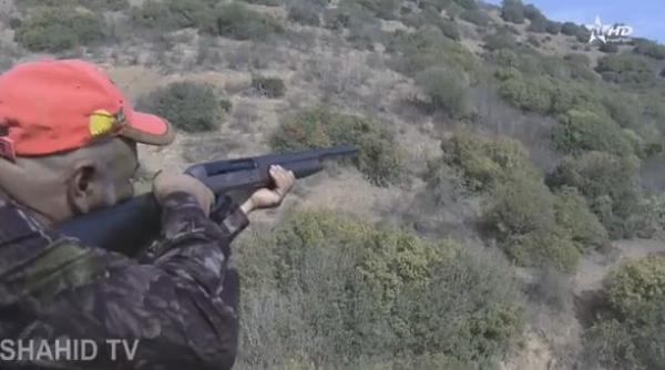 قنص الخنزير البري بمنطقة عين عودة