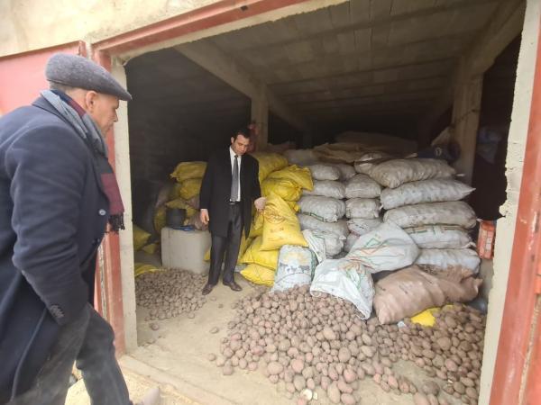 بأمر قضائي.. 150 طنًّا من البطاطس المحجوزة بِيعت في المزاد العلني بـ"50 ريال مغربية"