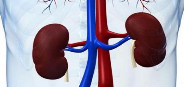 هذه الفيتامينات لتحسين وظائف الكلي