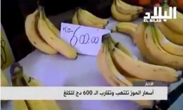 ازمة الموز تعود من جديد بالجزائر وتقترب من اسعار خيالية