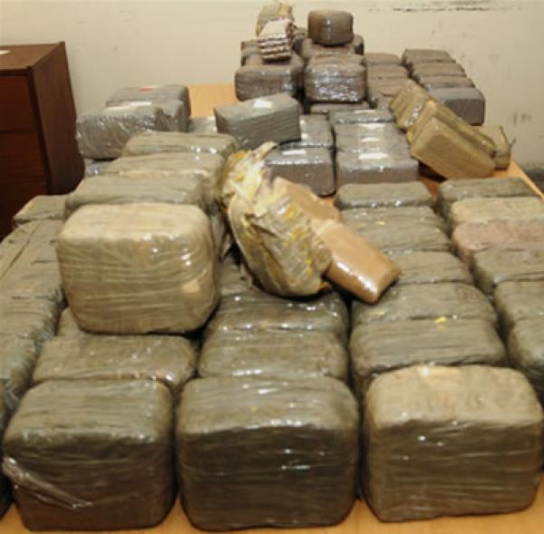 صورة من الأرشيف