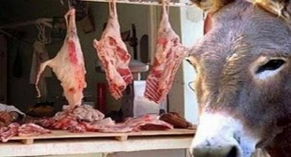 خطير ... لحوم الحمير تستنفر السلطات بمدينة الدارالبيضاء