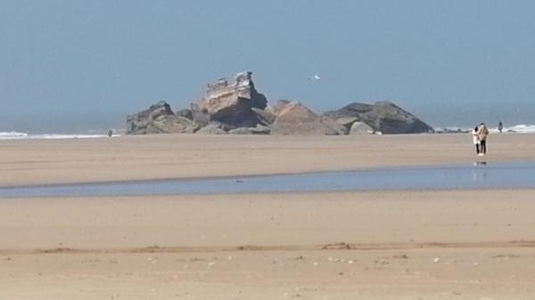 في شهر رمضان: تعري سائحات بأحد شواطئ الصويرة يستنفر المصالح الأمنية