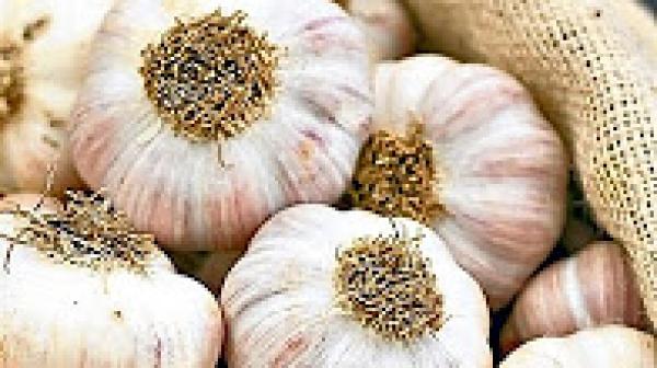 هل تعلم ماذا يحدث إذا تناول الرجل فص ثوم يوميا.. سبحان الخالق !