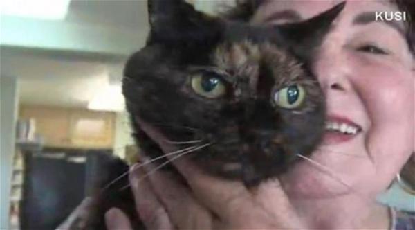  وفاة أكبر قطة معمرة في العالم بعمر 27 عاماً (إن واي دايلي نيوز) 