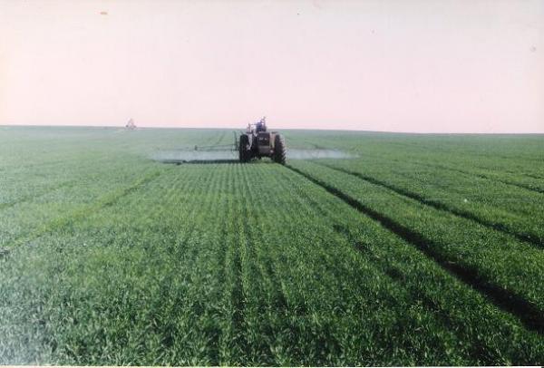 اتفاق بين موريتانيا ومنظمة "الفاو"لإدخال تقنيات جديدة لزراعة القمح