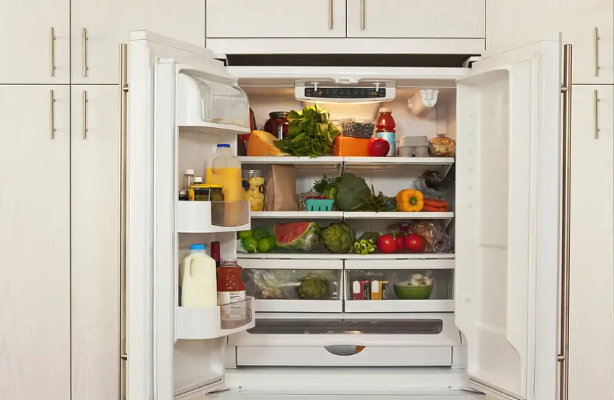 الثلاجة قنبلة بكتيرية موقوتة!.. كيف نتجنب هذا الخطر؟