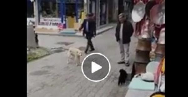 رد فعل غير متوقع لقطة هاجمها كلب (فيديو)