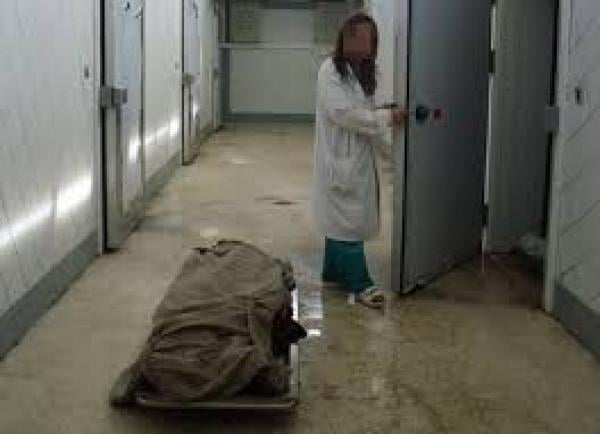 وفاة نزيل بالسّجن المركزي القنيطرة وها علاش