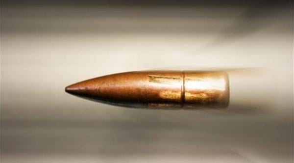 كلب اسمه "زناد" يطلق النار على قدم صاحبته