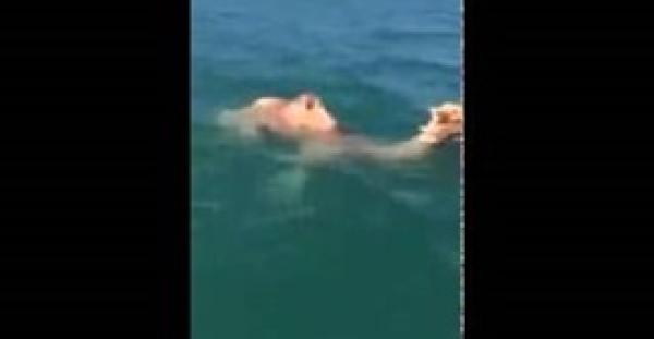 بالفيديو.. مقطع نادر لجمل يسبح بمهارة في المياه العميقة