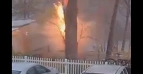 بالفيديو.. شاهد ماذا حدث لشجرة ضربتها صاعقة قوية