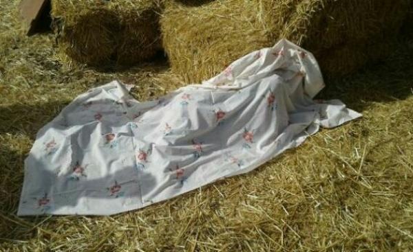 صورة الحادث