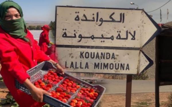 "الحافظ" لـ"أخبارنا" حول بؤرة للا ميمونة:الوباء انتشر بسبب استهتار القطاعات الحكومية وتهاونها وعدم تحمل مسؤوليتها