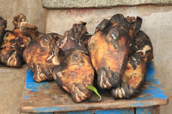 خلاف حول "تشواط الريوس" يتسبب في جريمة قتل بشعة بالحي الحسني