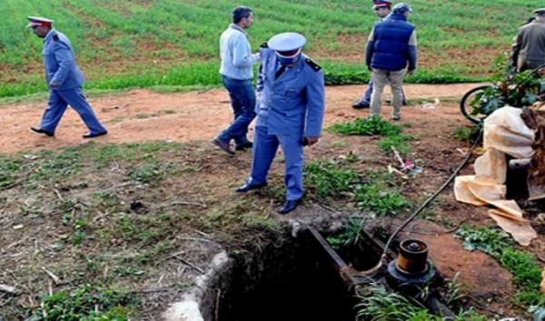 صورة من الأرشيف