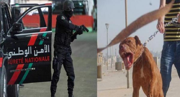 الأمن يدخل على خط فيديو يوثق لشخص هدد شرطي بواسطة كلب