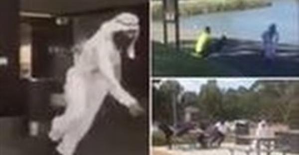 بالفيديو.. 10 ملايين مشاهدة لرجل يرتدي جلبابًا يرمي قنبلة على المارة