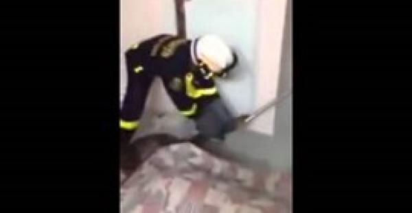 بالفيديو.. معاناة رجال الأطفاء لإخراج ثعبان ضخم داخل منزل