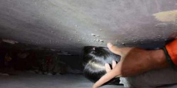 بالفيديو: لحظة إنقاذ فتاة صغيرة عالقة بين الجدران