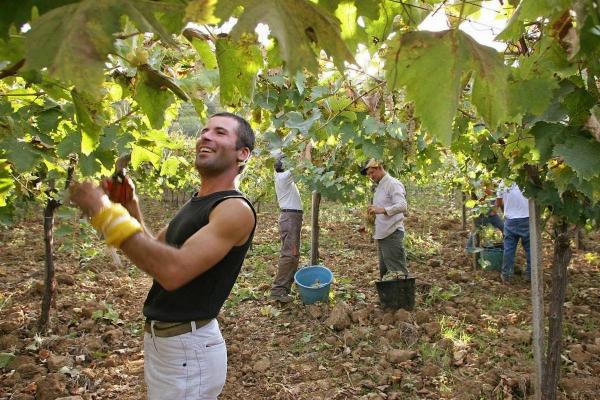 خبر سار ل"الحراكة" المغاربة بإيطاليا وعائلاتهم...الحصول على تراخيص الإقامة أصبح ممكنا وهذه هي الشروط
