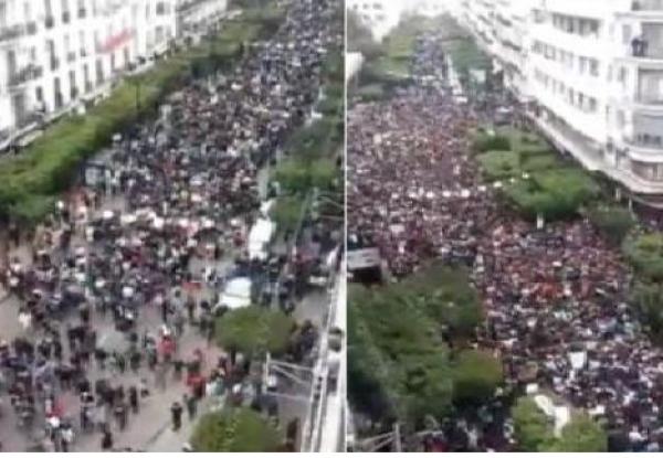 مسيرة حضارية بالجزائر إحتجاجا على ترشح بوتفليقة للعهدة الخامسة