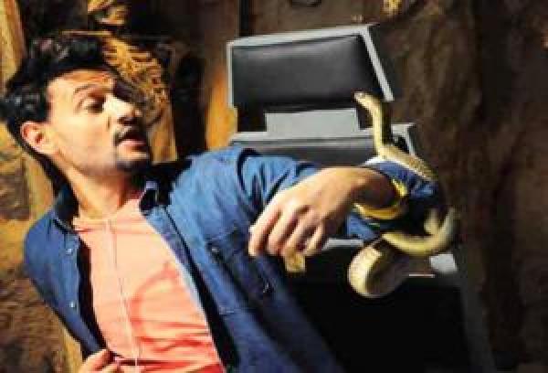 الكاميرا الخفية... نسمات كوميدية وعواصف من الرعب