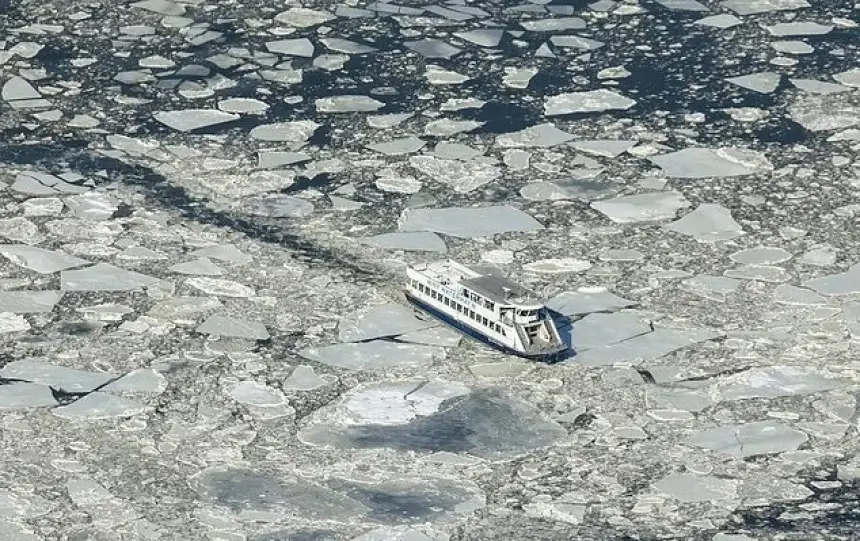 مشاهد فضائية غير مألوفة.. ناسا ترصد تجمد أنهار نيويورك بعد موجة صقيع قاسية