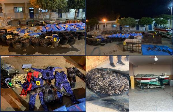 الصيد غير المشروع يورط 7 أشخاص بالناظور