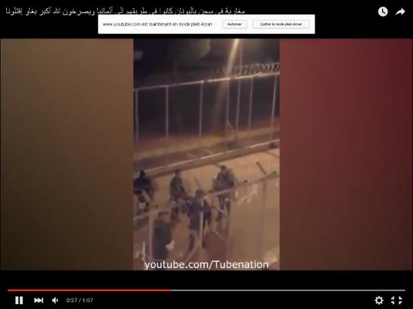 مغاربة في سجن باليونان كانوا في طريقهم إلى ألمانيا ويصرخون الله أكبر بغاو إقتلونا