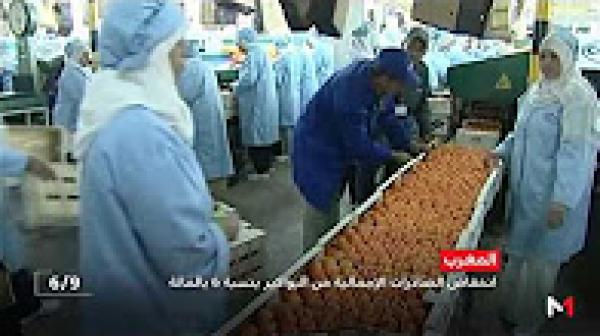 انخفاض الصادرات الإجمالية من البواكر بنسبة 6 بالمائة