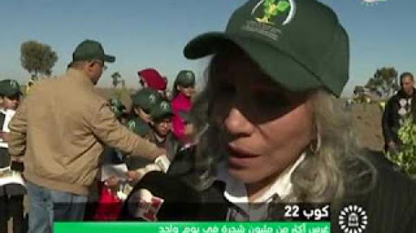 المغرب يغرس مليون شجرة في يوم واحد