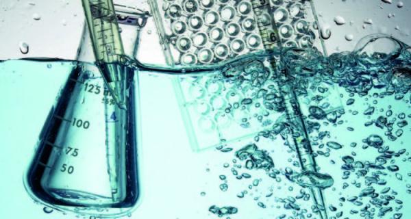 هام للمصطافين..إطلاق تطبيق إلكتروني للإطلاع على جودة مياه الاستحمام بالشواطئ